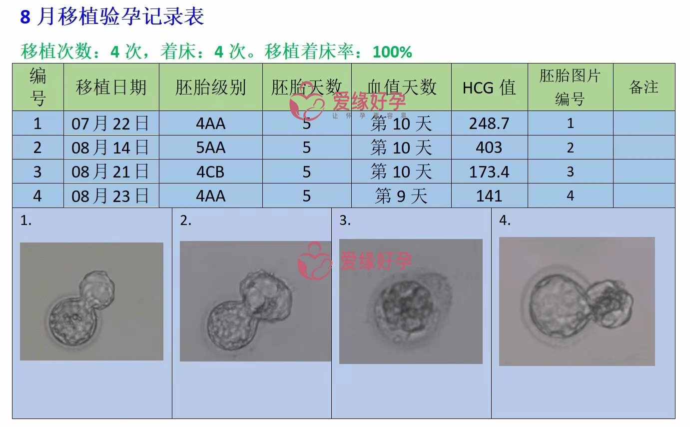 爱缘好孕乌克兰移植成功率连续三个月100%-乌克兰MC辅助生殖医院的优势