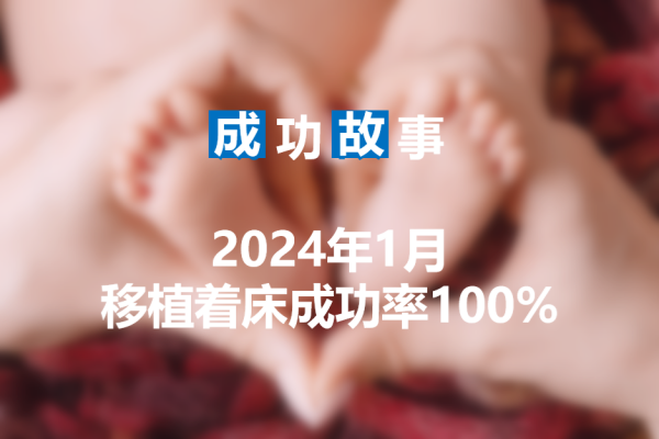 爱缘好孕2024年1月移植着床率案例统