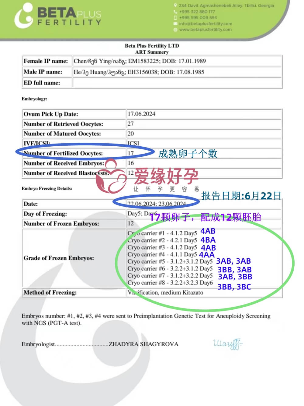 爱缘好孕格鲁吉亚H先生爱心暖子配成12个囊胚