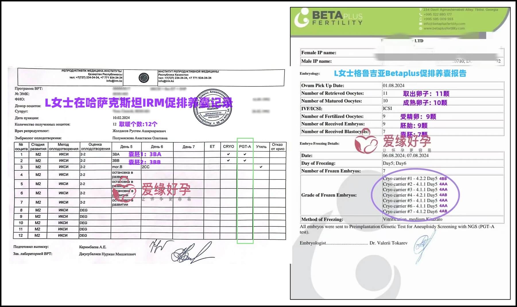 哈萨克斯坦7月8月供暖自暖移植成功率有何不同？