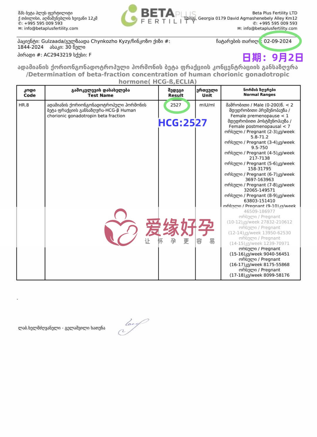 格鲁吉亚恩泽爱心使者验孕着床成功！