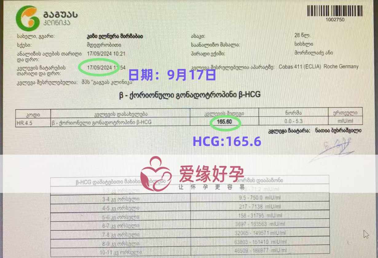 格鲁吉亚爱心志愿者验孕着床成功！