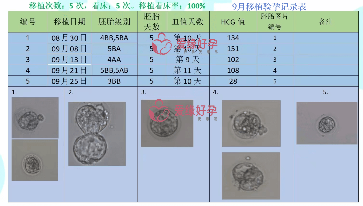 爱缘好孕乌克兰移植成功率连续三个月100%-乌克兰MC辅助生殖医院的优势