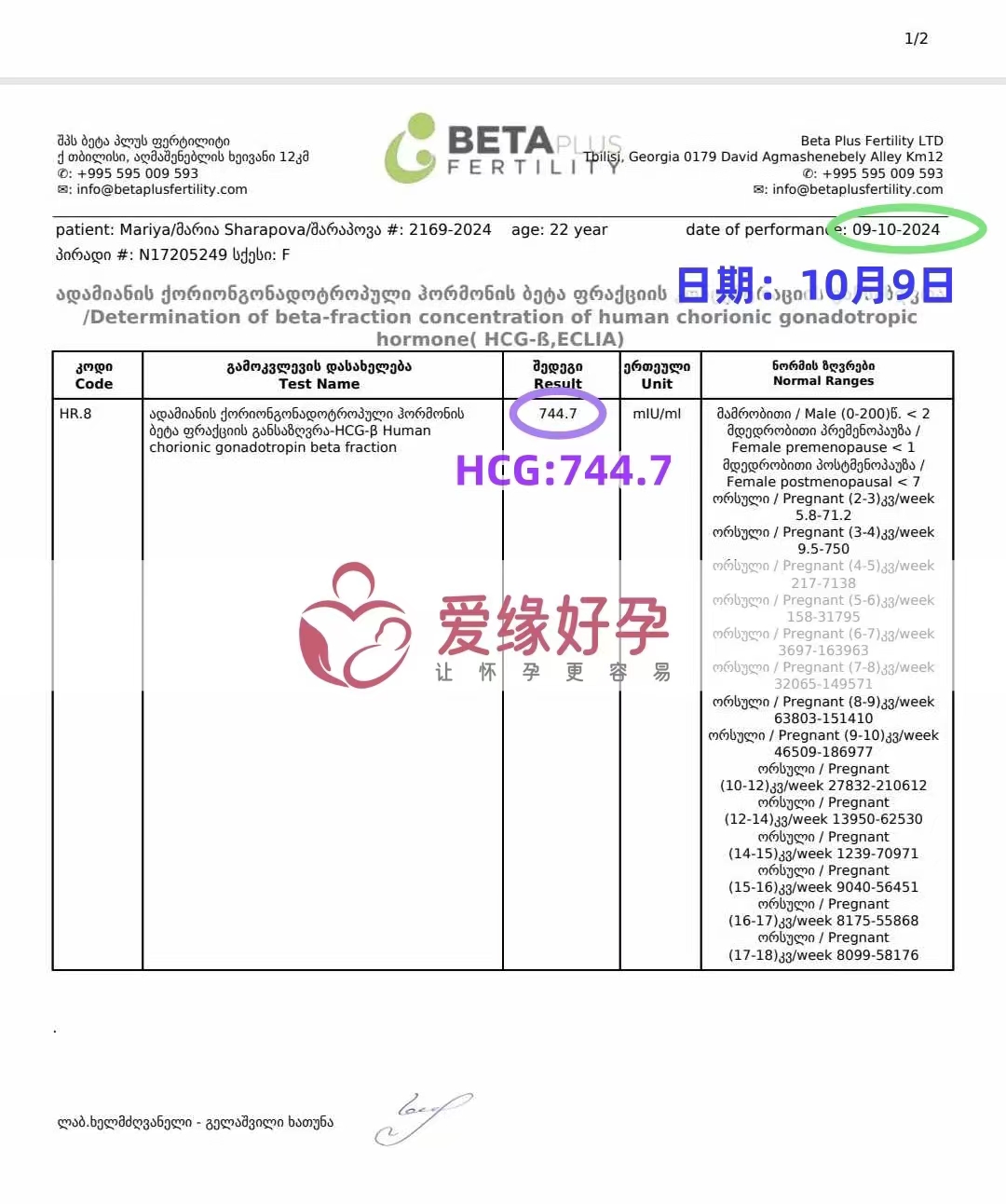 格鲁吉亚又一爱心使者验孕成功