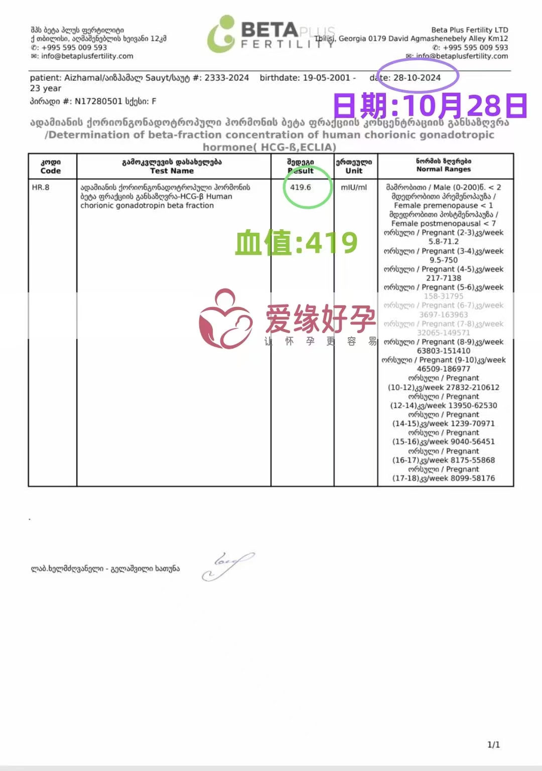 格鲁吉亚爱心使者验孕成功，血值419