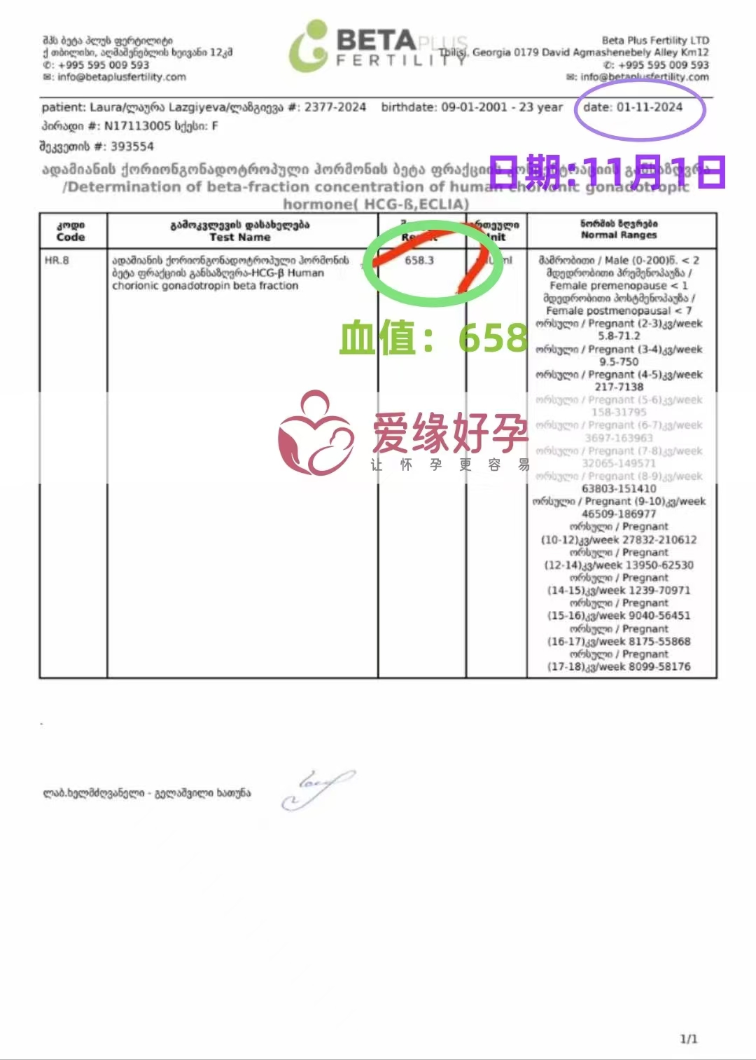 格鲁吉亚爱心使者验孕成功，血值658